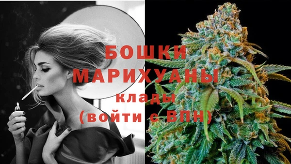 a pvp Аркадак