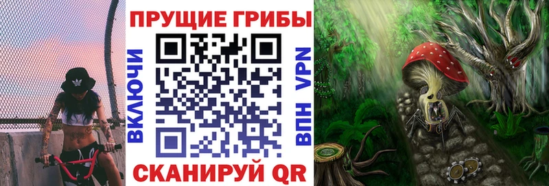 Галлюциногенные грибы Psilocybine cubensis  Купить  Среднеколымск 